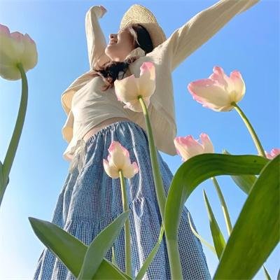 公牛骑士